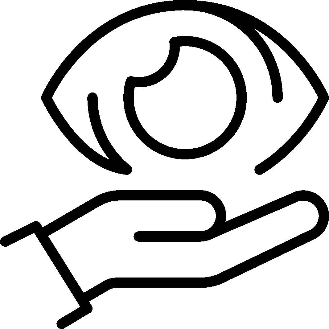 Vision Insurance Icon