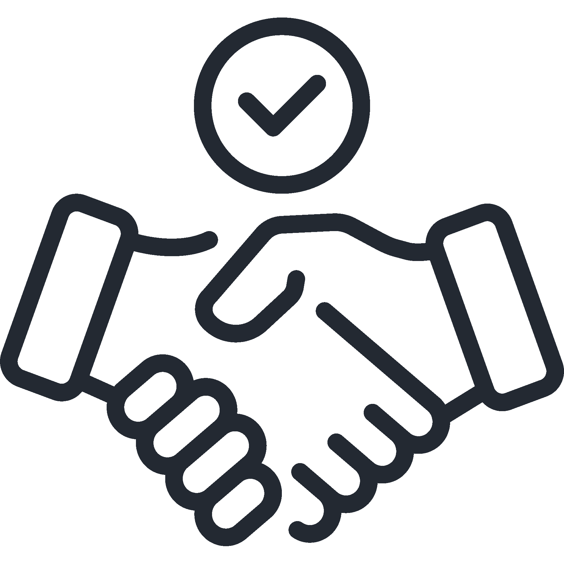 Advocacy and Organization Icon