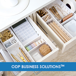 ODP Business Solutions